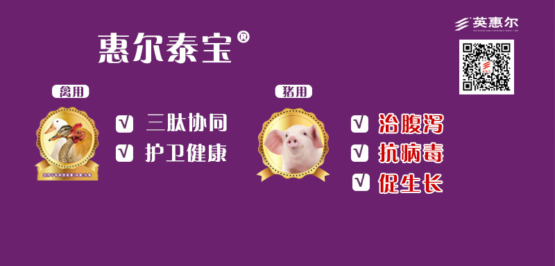 惠尔泰宝广告�?.jpg