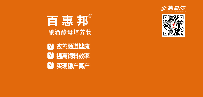 画板 1-100.jpg